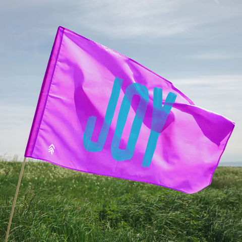 Martin Smith: 'JOY' Flag - Pink/Blue